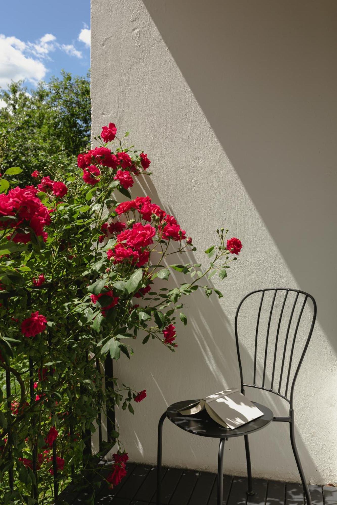 Apartament Doma